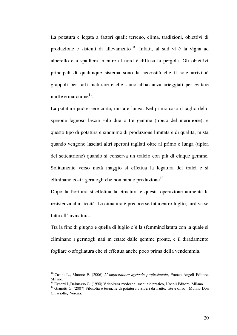 Anteprima della tesi: La gestione della produzione vinicola. Il caso Cantine Due Palme, Pagina 13