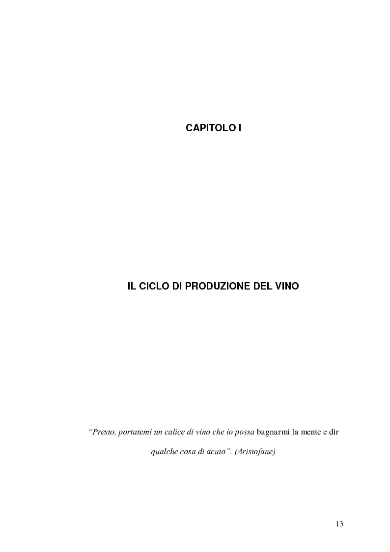 Anteprima della tesi: La gestione della produzione vinicola. Il caso Cantine Due Palme, Pagina 6