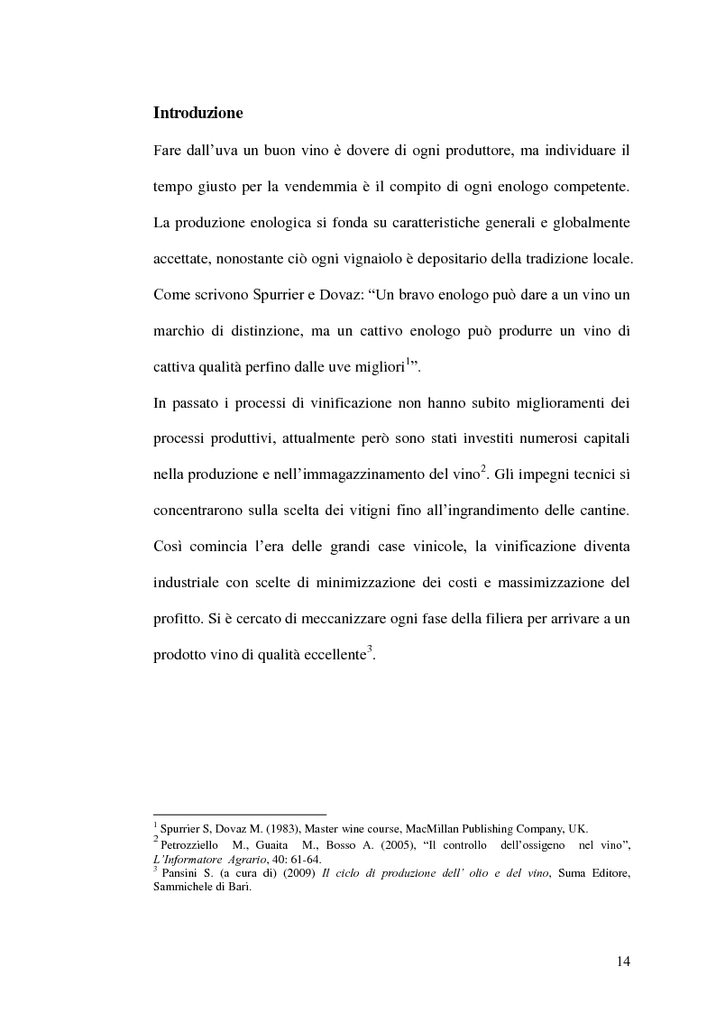 Anteprima della tesi: La gestione della produzione vinicola. Il caso Cantine Due Palme, Pagina 7