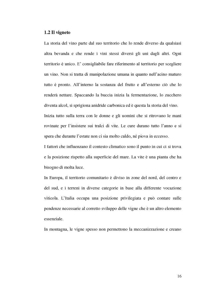 Anteprima della tesi: La gestione della produzione vinicola. Il caso Cantine Due Palme, Pagina 9