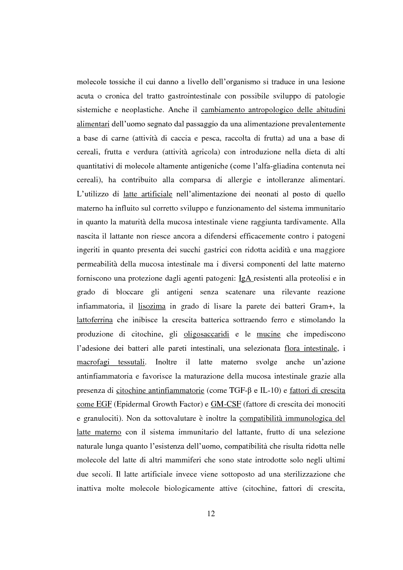 Anteprima della tesi: Reazioni avverse agli alimenti: la sensibilità al glutine. Le nuove ipotesi scientifiche e il ruolo dell'infermiere nell'educazione terapeutica del paziente., Pagina 9
