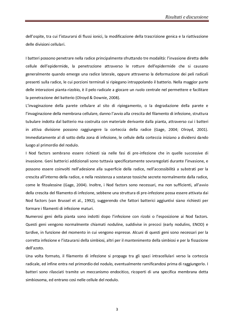 Anteprima della tesi: Coinvolgimento di MtN5 nella Trasduzione del Segnale nella Simbiosi Sinorhizobium meliloti – Medicago truncatula, Pagina 3