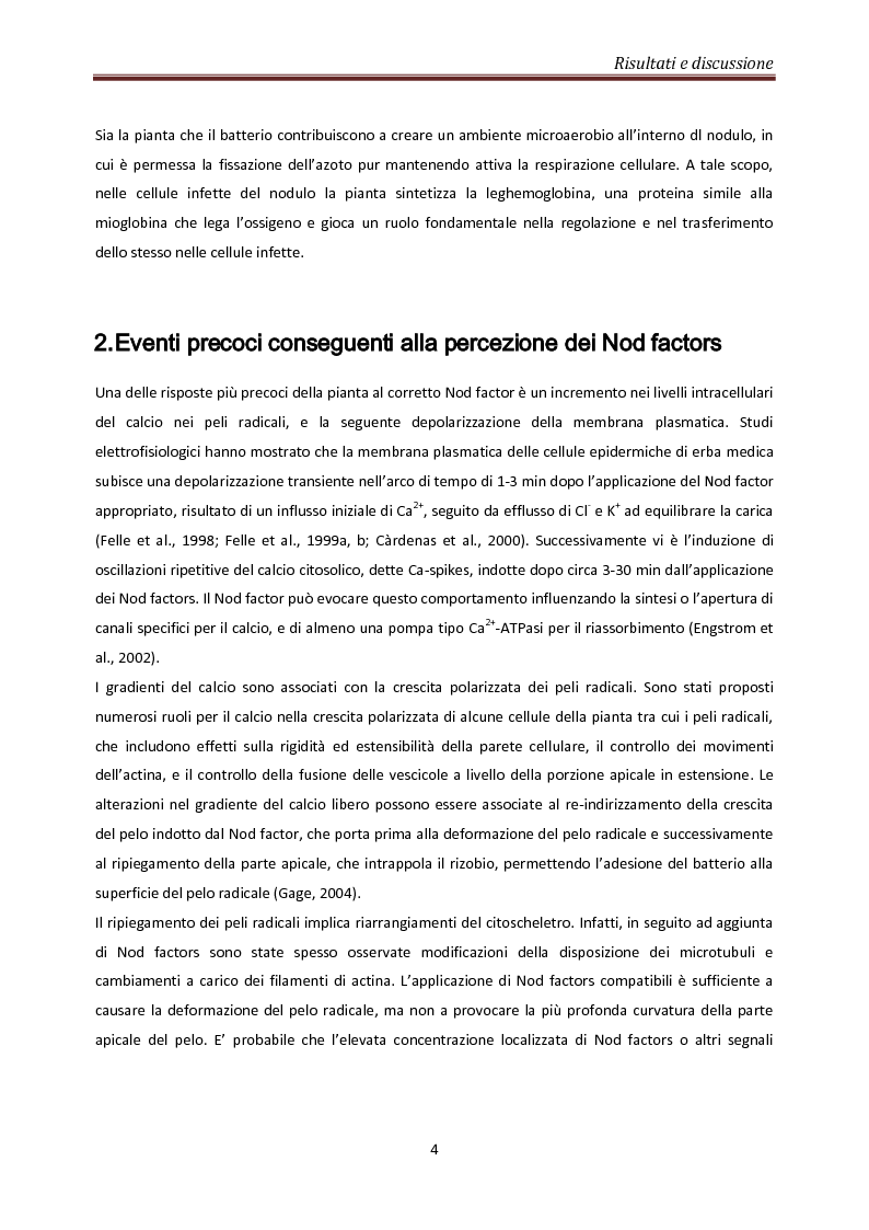 Anteprima della tesi: Coinvolgimento di MtN5 nella Trasduzione del Segnale nella Simbiosi Sinorhizobium meliloti – Medicago truncatula, Pagina 4