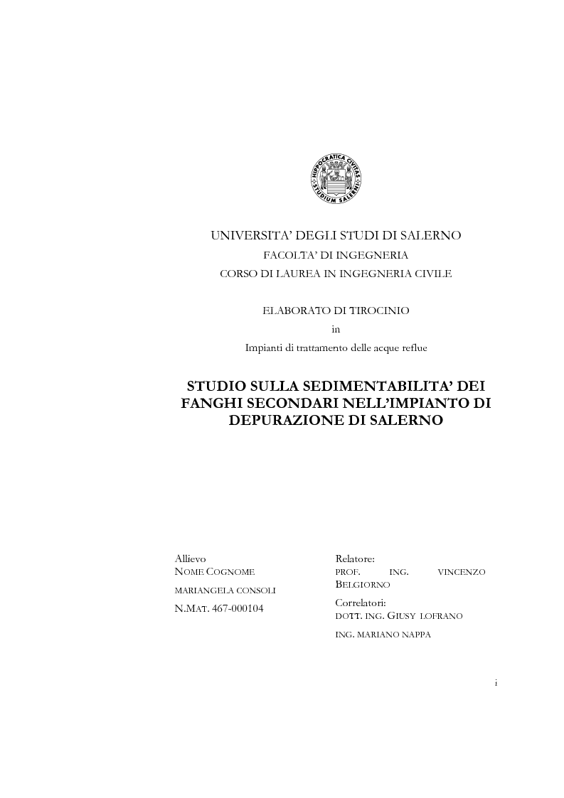 Anteprima della tesi: Studio sulla sedimentabilità dei fanghi secondari nell'impianto di depurazione di Salerno, Pagina 1