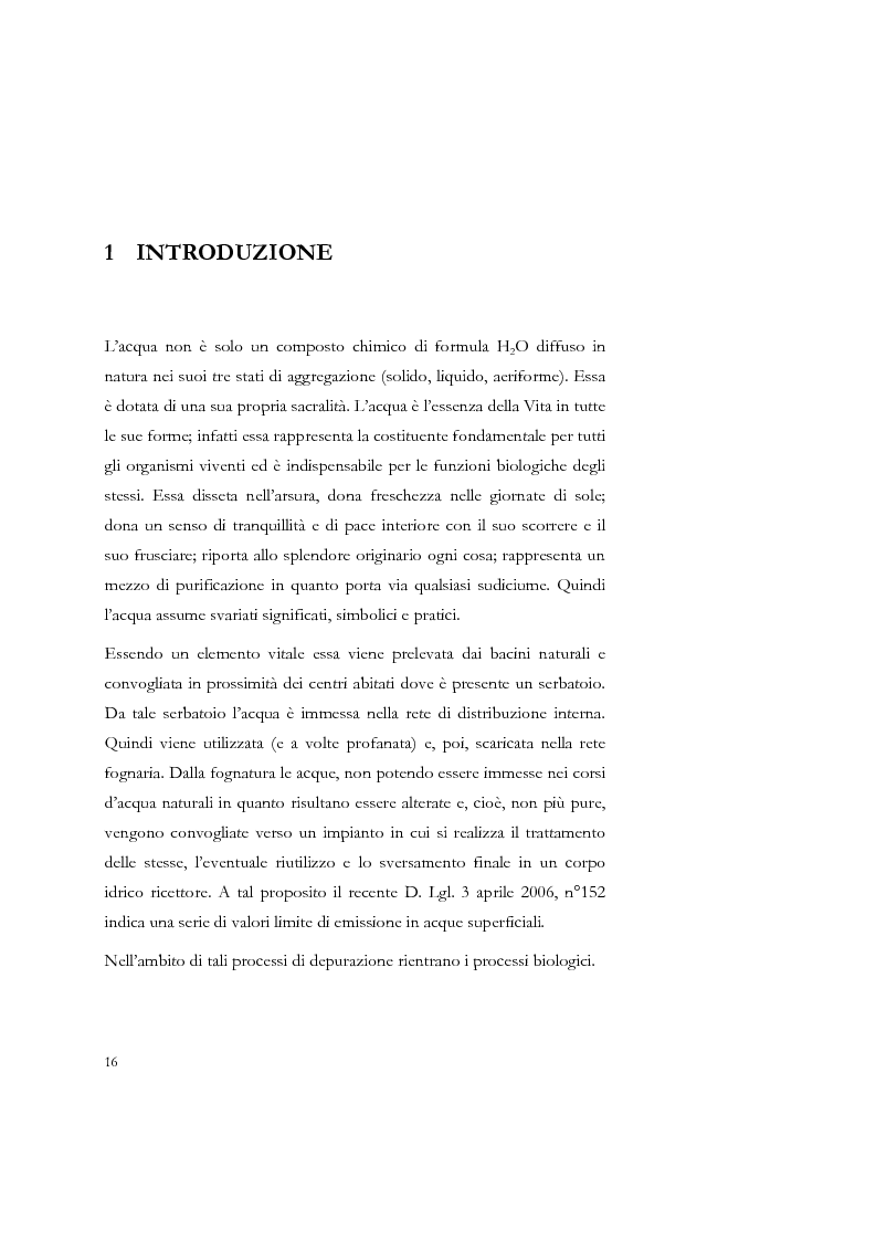 Anteprima della tesi: Studio sulla sedimentabilità dei fanghi secondari nell'impianto di depurazione di Salerno, Pagina 3