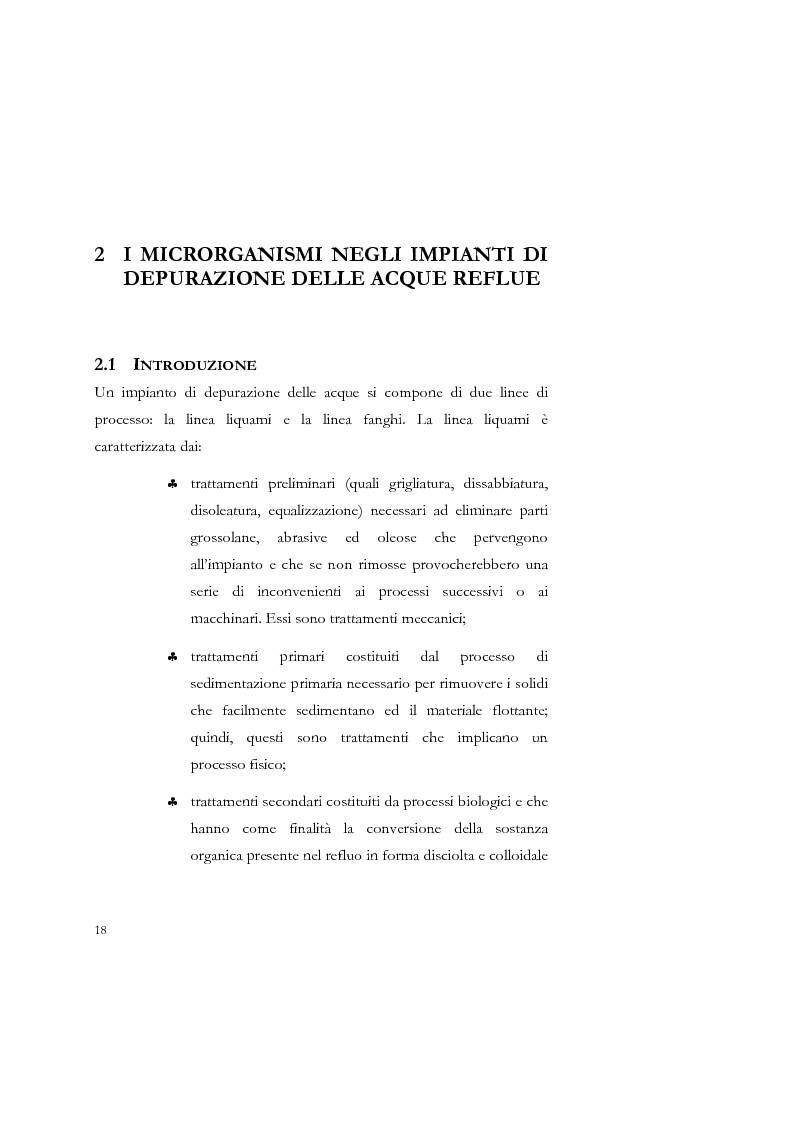 Anteprima della tesi: Studio sulla sedimentabilità dei fanghi secondari nell'impianto di depurazione di Salerno, Pagina 5
