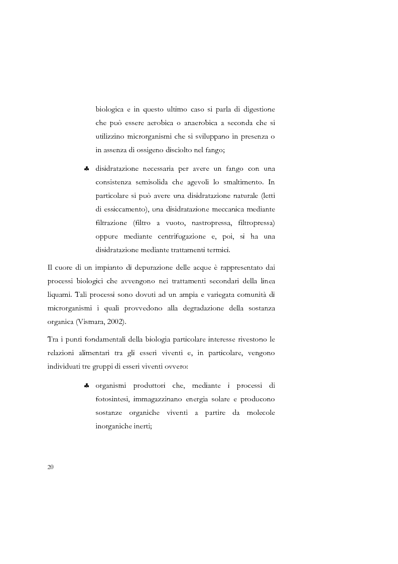 Anteprima della tesi: Studio sulla sedimentabilità dei fanghi secondari nell'impianto di depurazione di Salerno, Pagina 7