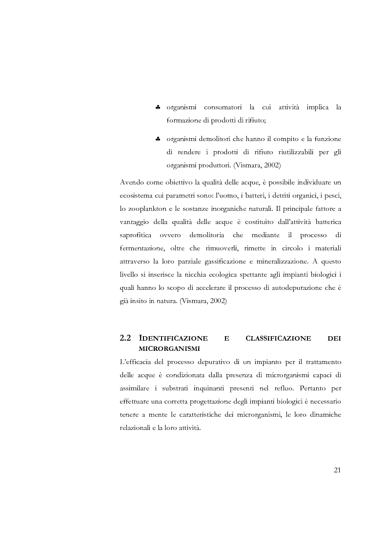 Anteprima della tesi: Studio sulla sedimentabilità dei fanghi secondari nell'impianto di depurazione di Salerno, Pagina 8