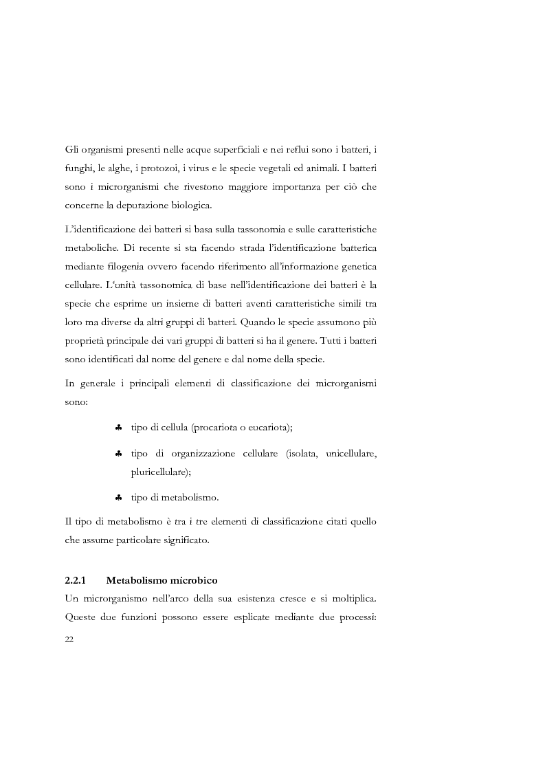 Anteprima della tesi: Studio sulla sedimentabilità dei fanghi secondari nell'impianto di depurazione di Salerno, Pagina 9