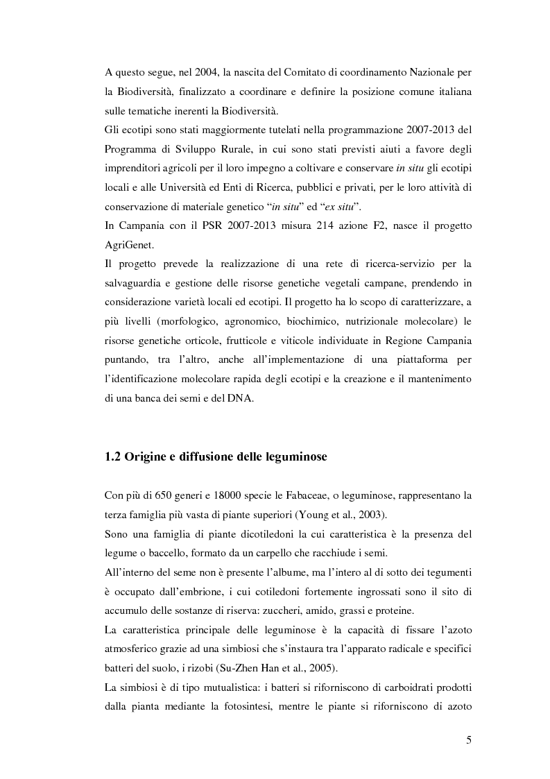 Anteprima della tesi: Biodiversità molecolare in ecotipi di cicerchia (Lathyrus sativus L.), Pagina 4