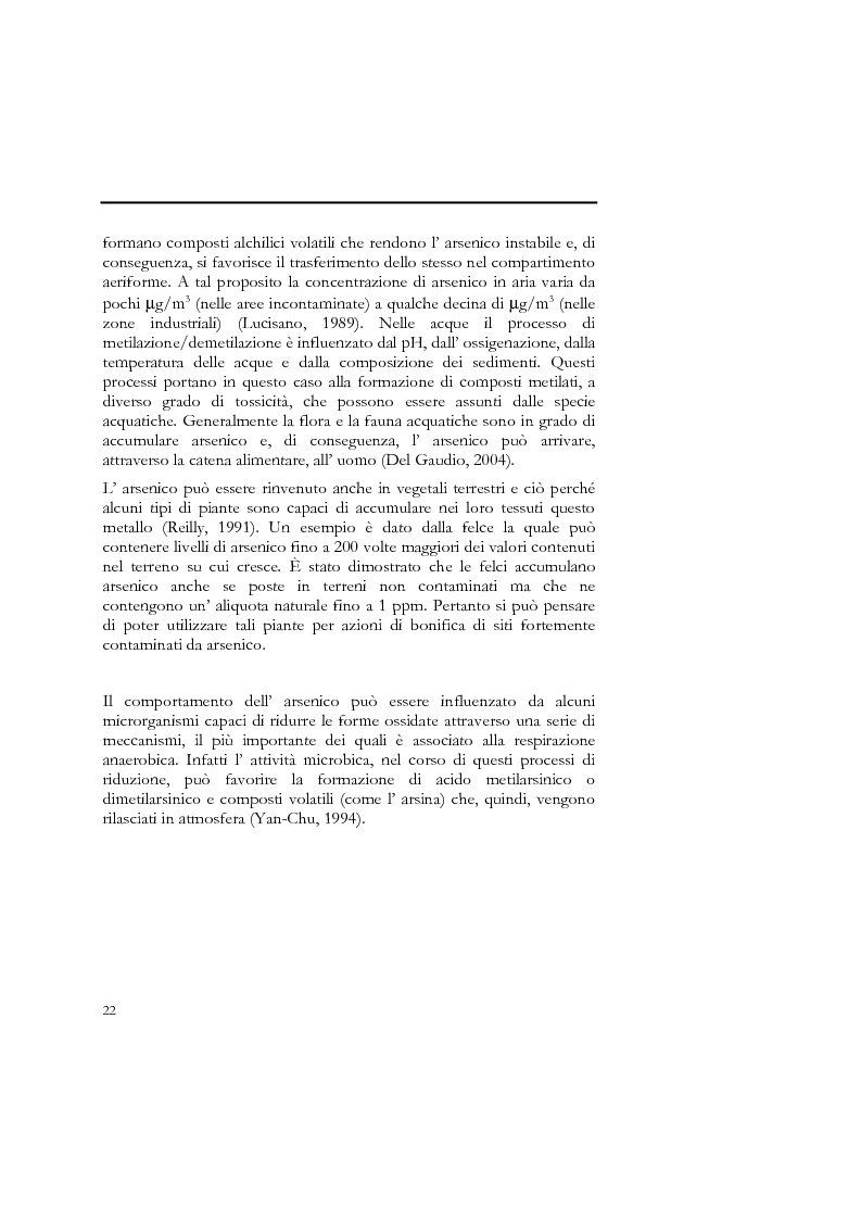 Anteprima della tesi: Indagine sull'applicabilità del chitosano nella rimozione di ioni arseniato dalle acque destinate al consumo umano, Pagina 10