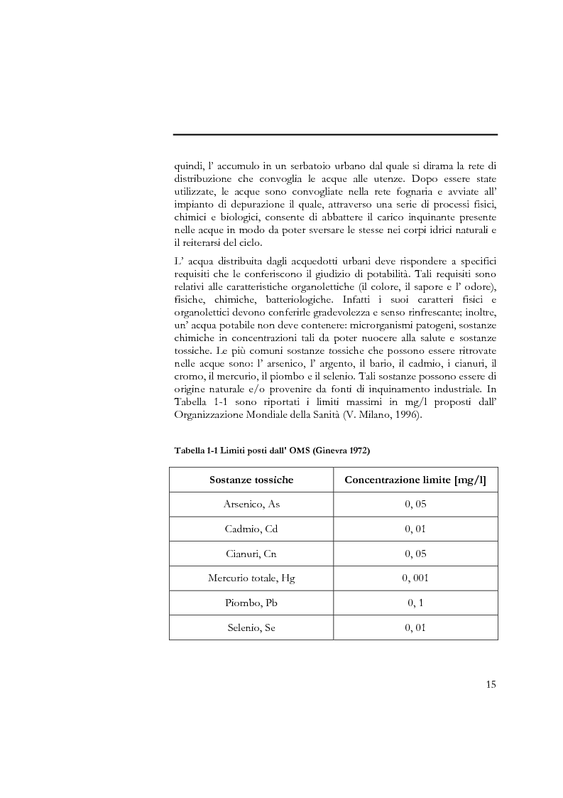 Anteprima della tesi: Indagine sull'applicabilità del chitosano nella rimozione di ioni arseniato dalle acque destinate al consumo umano, Pagina 3