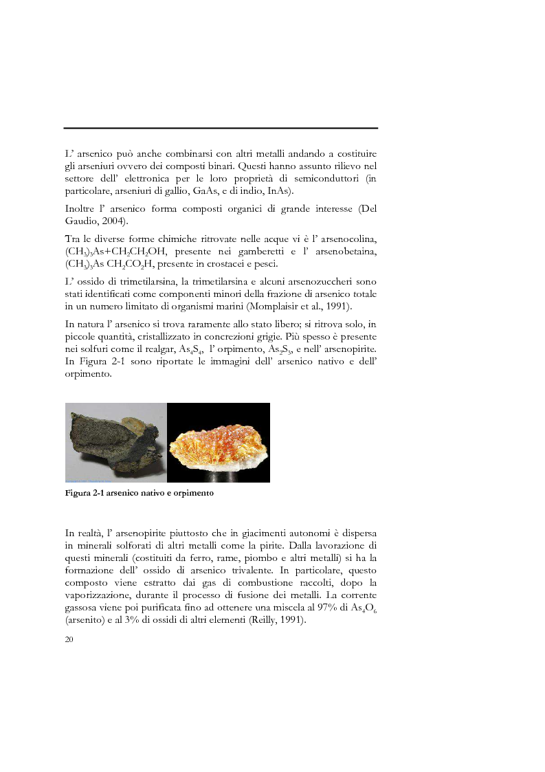 Anteprima della tesi: Indagine sull'applicabilità del chitosano nella rimozione di ioni arseniato dalle acque destinate al consumo umano, Pagina 8