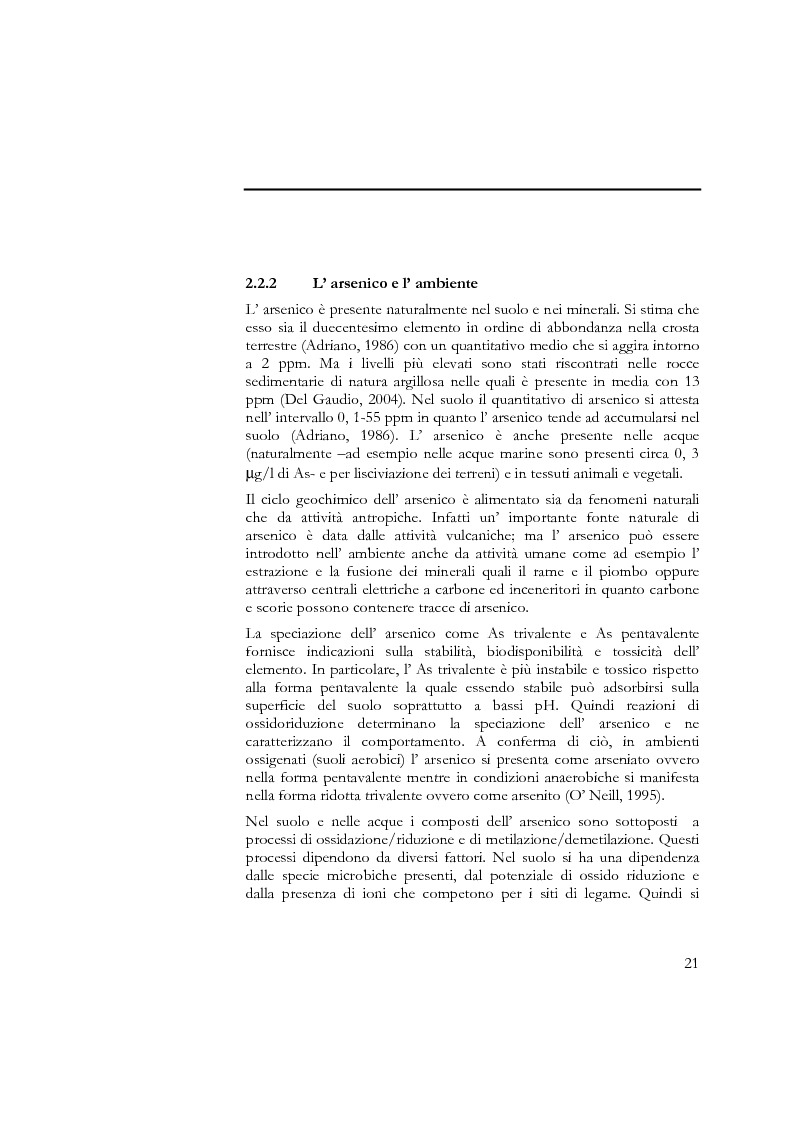 Anteprima della tesi: Indagine sull'applicabilità del chitosano nella rimozione di ioni arseniato dalle acque destinate al consumo umano, Pagina 9