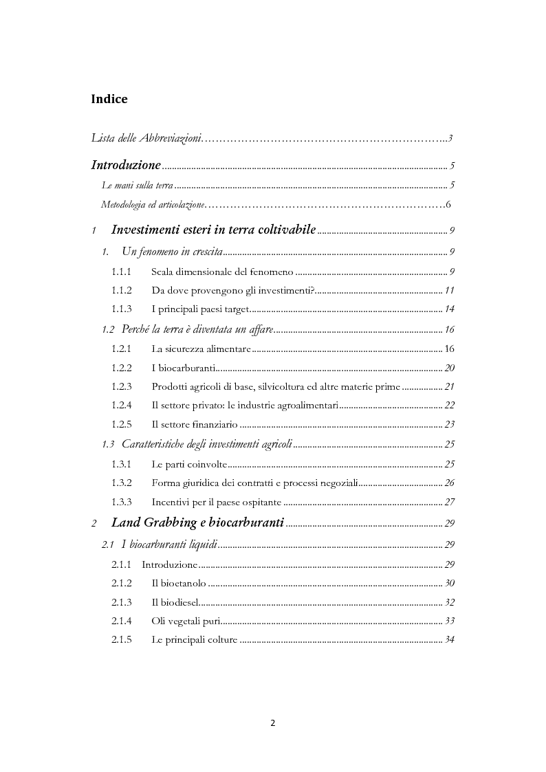 Indice della tesi: Land Grabbing e biocarburanti, Pagina 1