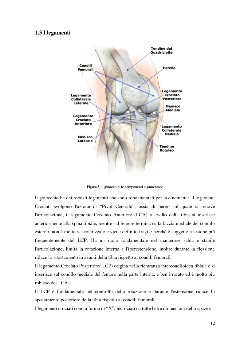 Anteprima della tesi: Monitoraggio clinico del recupero funzionale dopo trattamento artroscopico per trauma distorsivo del ginocchio in giocatori di pallacanestro, Pagina 6