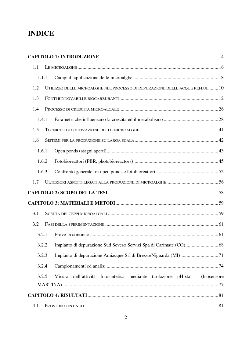 Indice della tesi: Utilizzo dei flussi di scarto di impianti di depurazione per lo sviluppo di biomassa algale destinata alla produzione di biogas, Pagina 1