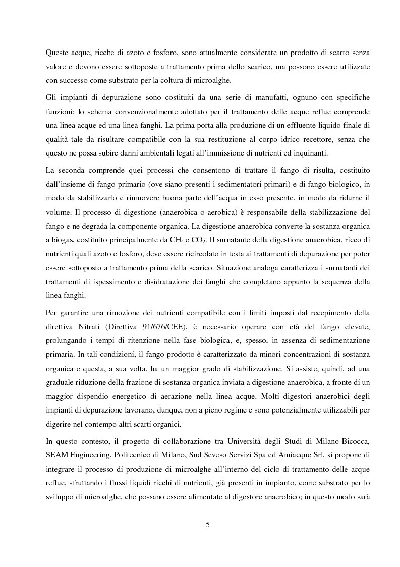 Anteprima della tesi: Utilizzo dei flussi di scarto di impianti di depurazione per lo sviluppo di biomassa algale destinata alla produzione di biogas, Pagina 3