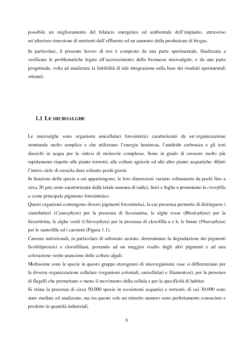 Anteprima della tesi: Utilizzo dei flussi di scarto di impianti di depurazione per lo sviluppo di biomassa algale destinata alla produzione di biogas, Pagina 4