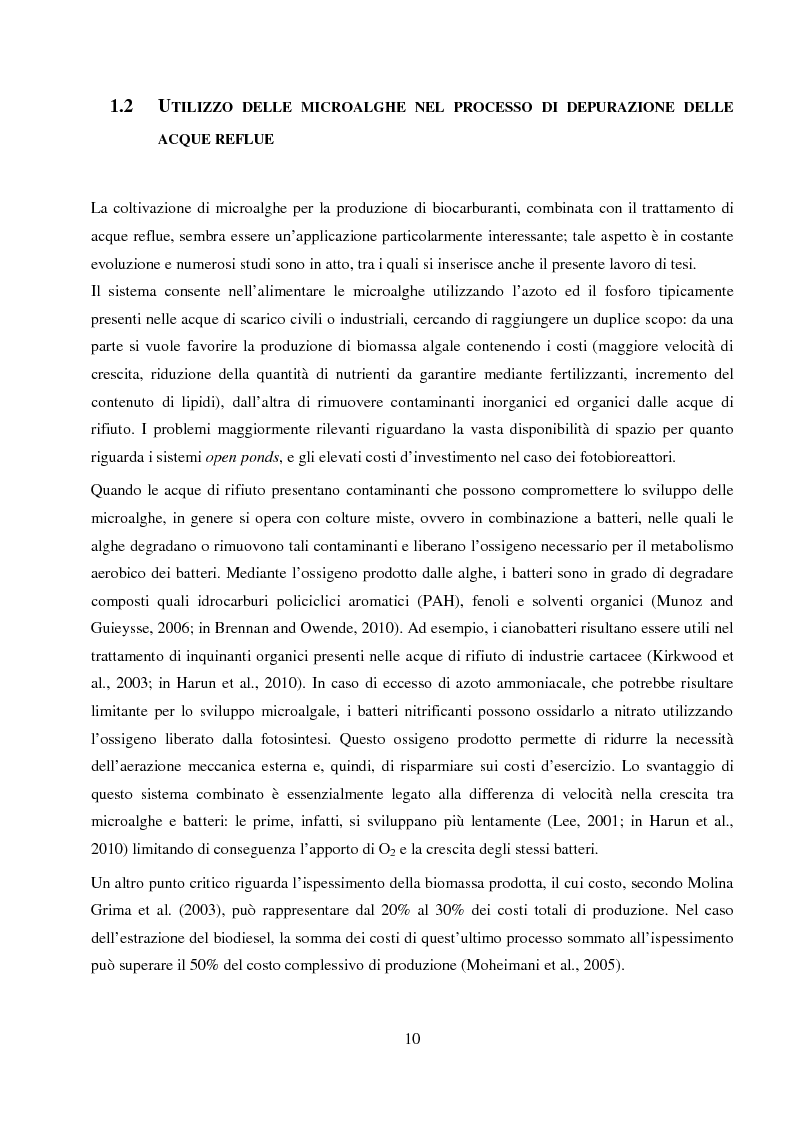 Anteprima della tesi: Utilizzo dei flussi di scarto di impianti di depurazione per lo sviluppo di biomassa algale destinata alla produzione di biogas, Pagina 8