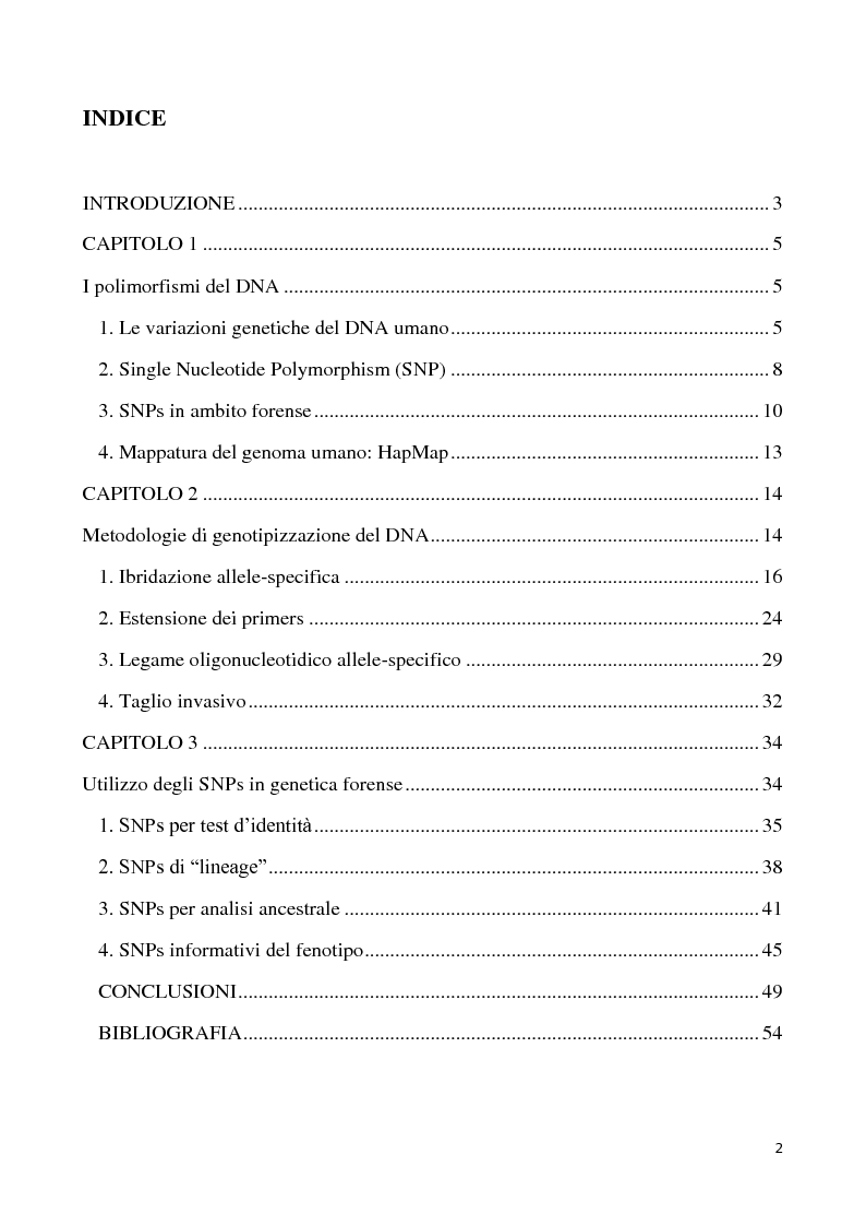 Indice della tesi: Single Nucleotide Polymorphisms (SNPs) per l’identificazione individuale, Pagina 1