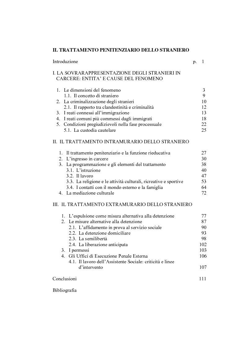 Indice della tesi: Il trattamento penitenziario dello straniero, Pagina 1