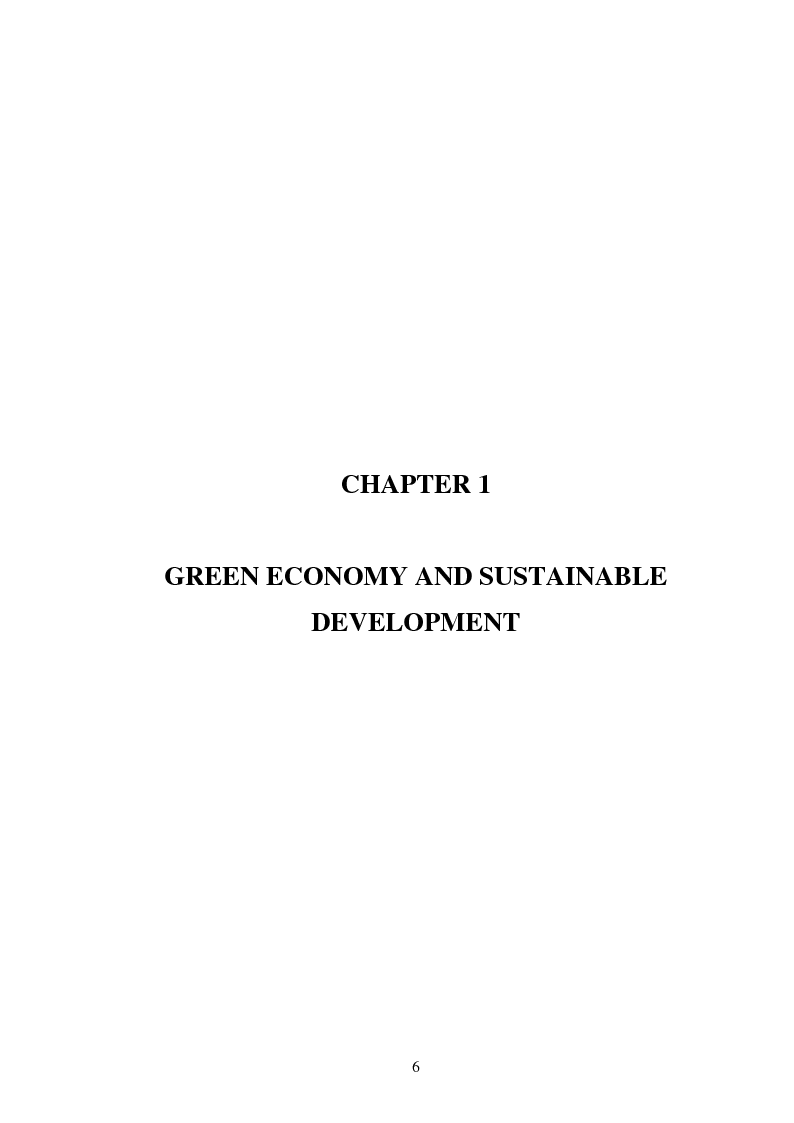 Anteprima della tesi: Shades of Green. Greenwashing in the Tourism Industry, Pagina 2