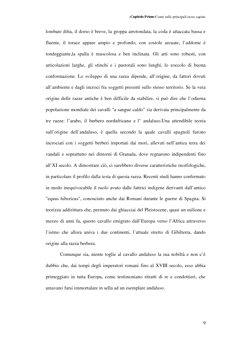 Anteprima della tesi: La Sardegna: terra di cavalli per l'esercito, Pagina 10