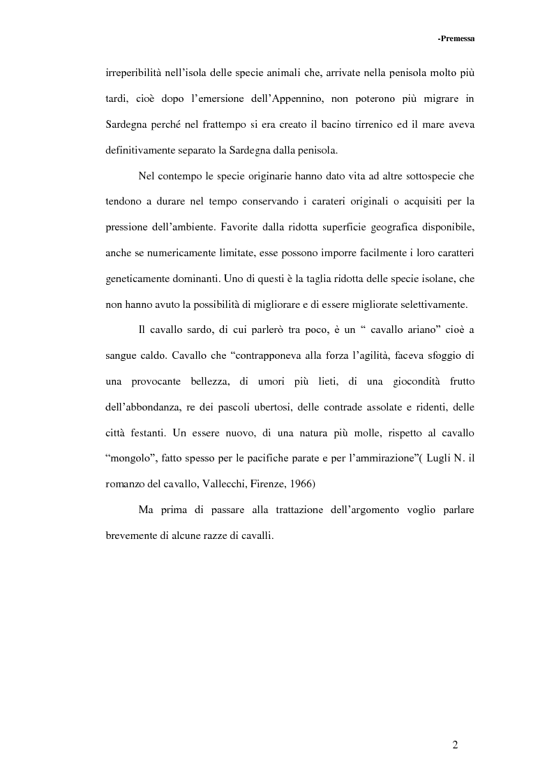 Anteprima della tesi: La Sardegna: terra di cavalli per l'esercito, Pagina 3