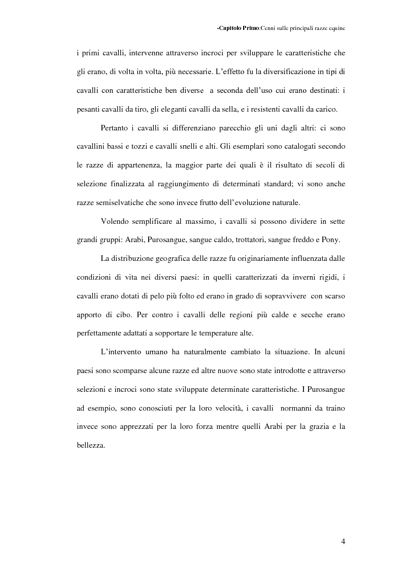 Anteprima della tesi: La Sardegna: terra di cavalli per l'esercito, Pagina 5