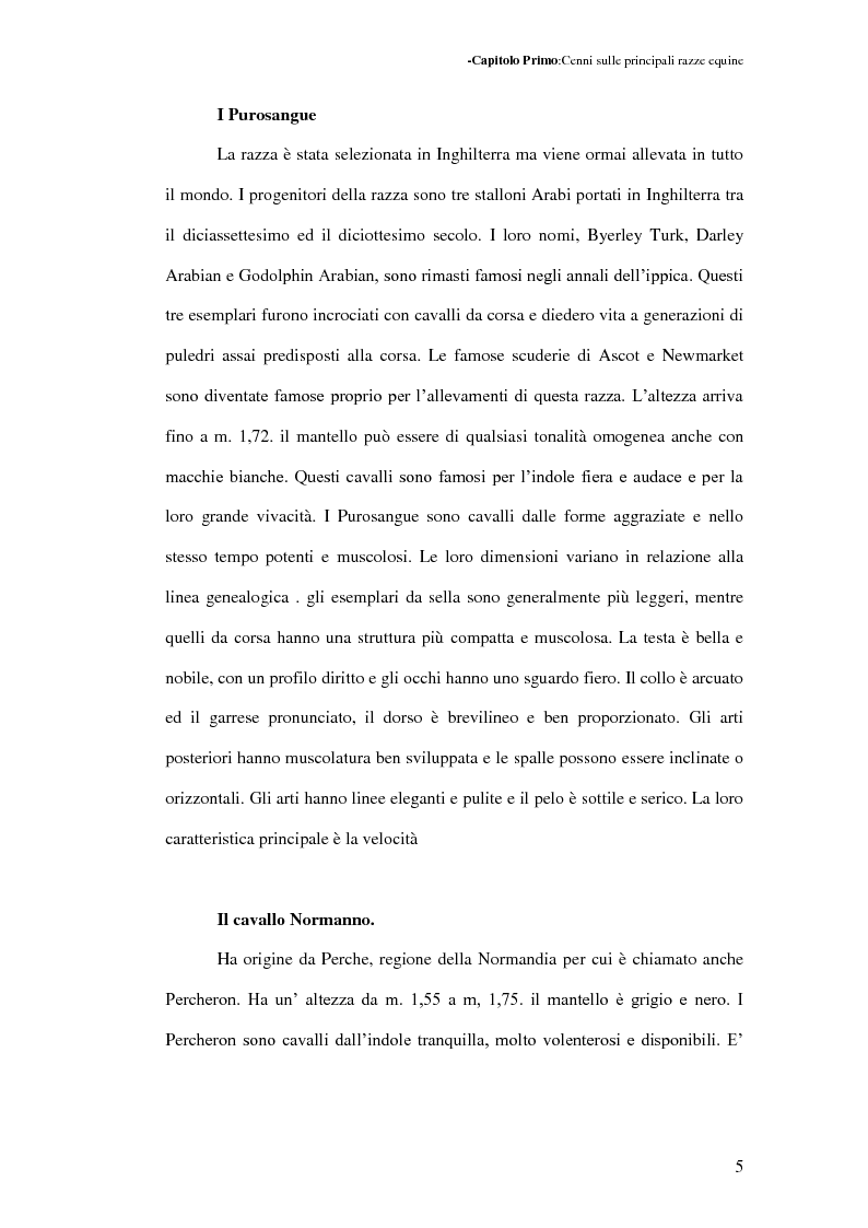 Anteprima della tesi: La Sardegna: terra di cavalli per l'esercito, Pagina 6