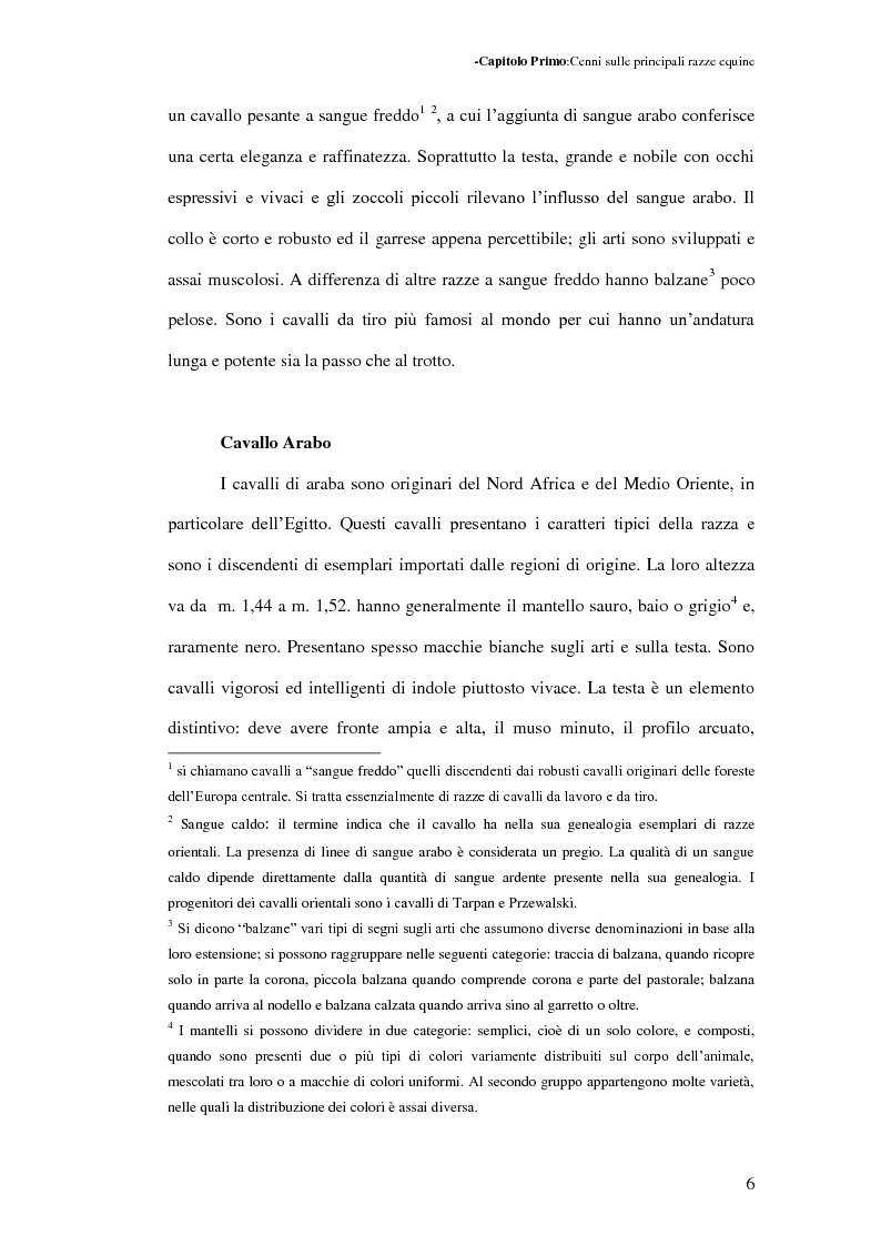 Anteprima della tesi: La Sardegna: terra di cavalli per l'esercito, Pagina 7