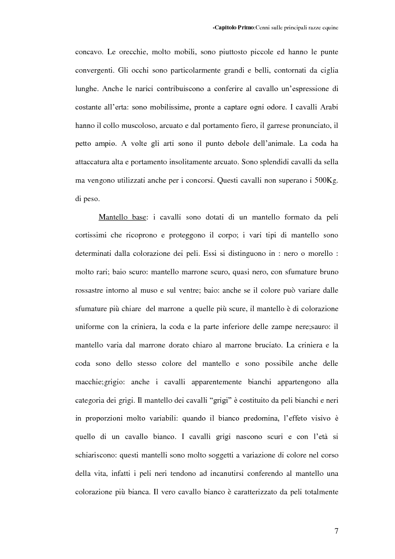 Anteprima della tesi: La Sardegna: terra di cavalli per l'esercito, Pagina 8