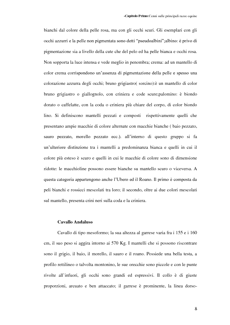 Anteprima della tesi: La Sardegna: terra di cavalli per l'esercito, Pagina 9