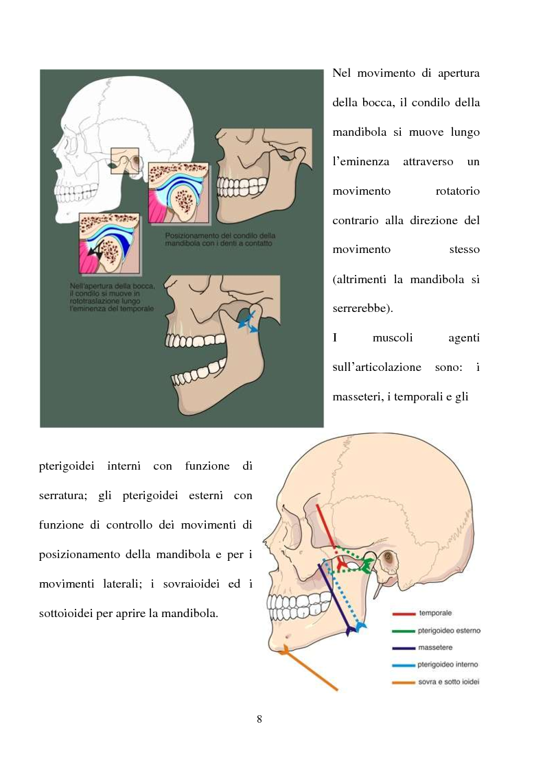 Anteprima della tesi: Postura e A.T.M: Indagini Strumentali, Terapia e Protocolli Clinici, Pagina 3