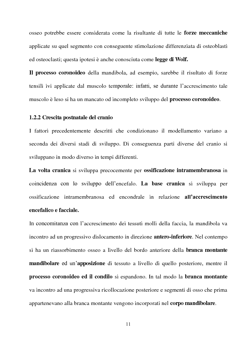 Anteprima della tesi: Postura e A.T.M: Indagini Strumentali, Terapia e Protocolli Clinici, Pagina 6