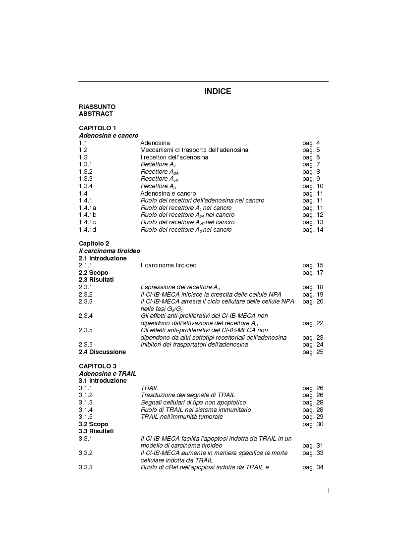 Indice della tesi: Il sistema adenosinico: principali targets molecolari ad attività anti-tumorale, Pagina 1