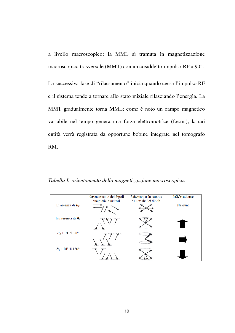 Anteprima della tesi: Evoluzione delle tematiche di sicurezza e delle normative in risonanza magnetica, Pagina 8