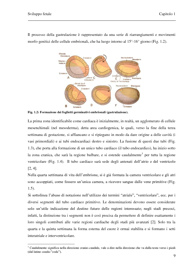Anteprima della tesi: Sviluppo e confronto di algoritmi di filtraggio del segnale fonocardiografico addominale per l’estrazione della frequenza cardiaca fetale, Pagina 6