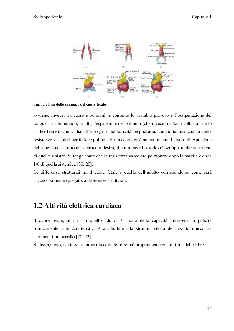 Anteprima della tesi: Sviluppo e confronto di algoritmi di filtraggio del segnale fonocardiografico addominale per l’estrazione della frequenza cardiaca fetale, Pagina 9