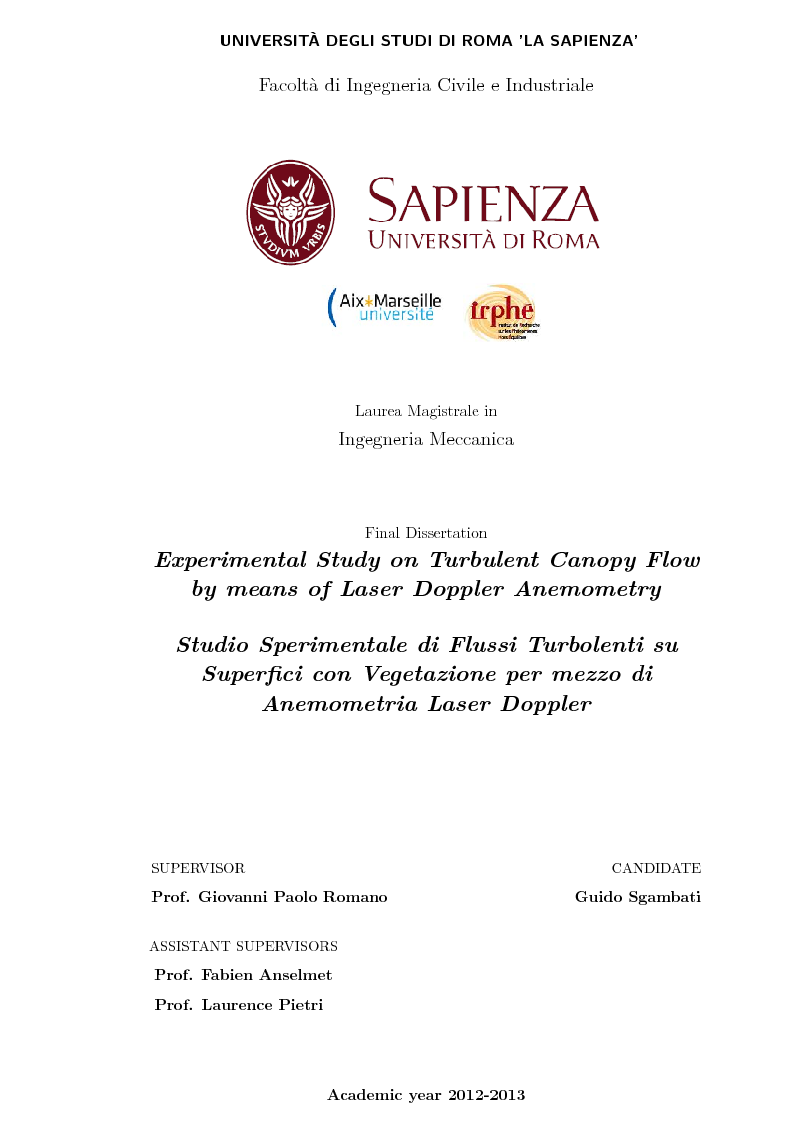 Anteprima della tesi: Experimental Study on Turbulent Canopy Flow by means of Laser Doppler Anemometry, Pagina 1