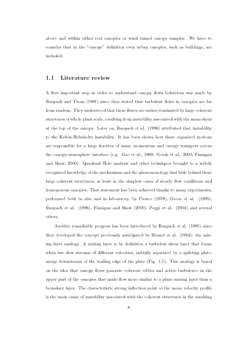 Anteprima della tesi: Experimental Study on Turbulent Canopy Flow by means of Laser Doppler Anemometry, Pagina 3