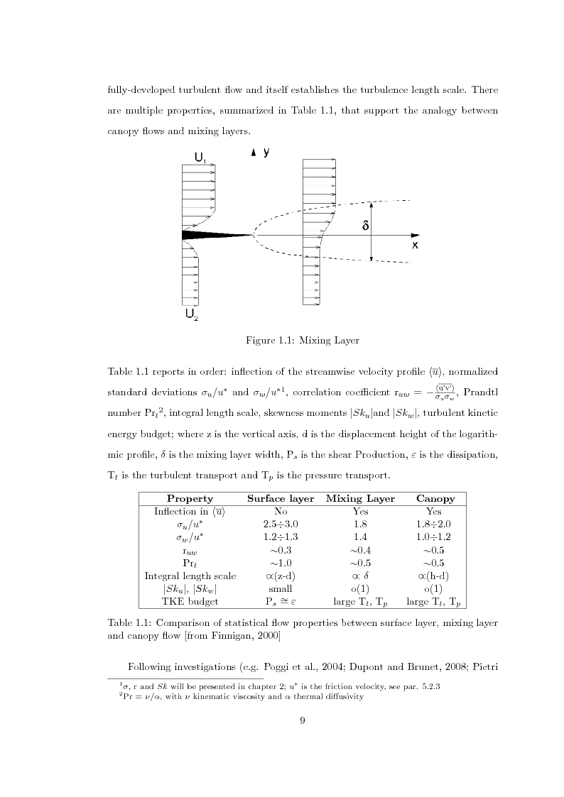 Anteprima della tesi: Experimental Study on Turbulent Canopy Flow by means of Laser Doppler Anemometry, Pagina 4