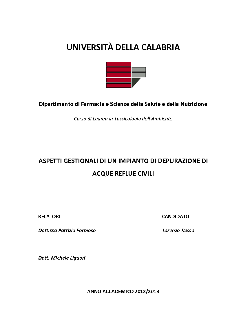 Anteprima della tesi: Aspetti gestionali di un impianto di depurazione di acque reflue civili, Pagina 1
