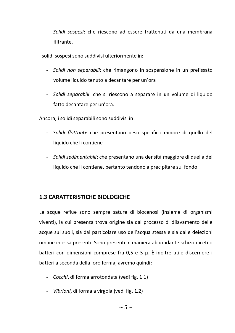 Anteprima della tesi: Aspetti gestionali di un impianto di depurazione di acque reflue civili, Pagina 5