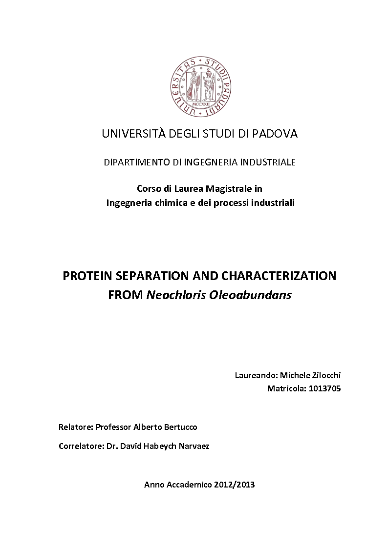 Anteprima della tesi: Protein separation and characterization from Neochloris Oleoabundans, Pagina 1
