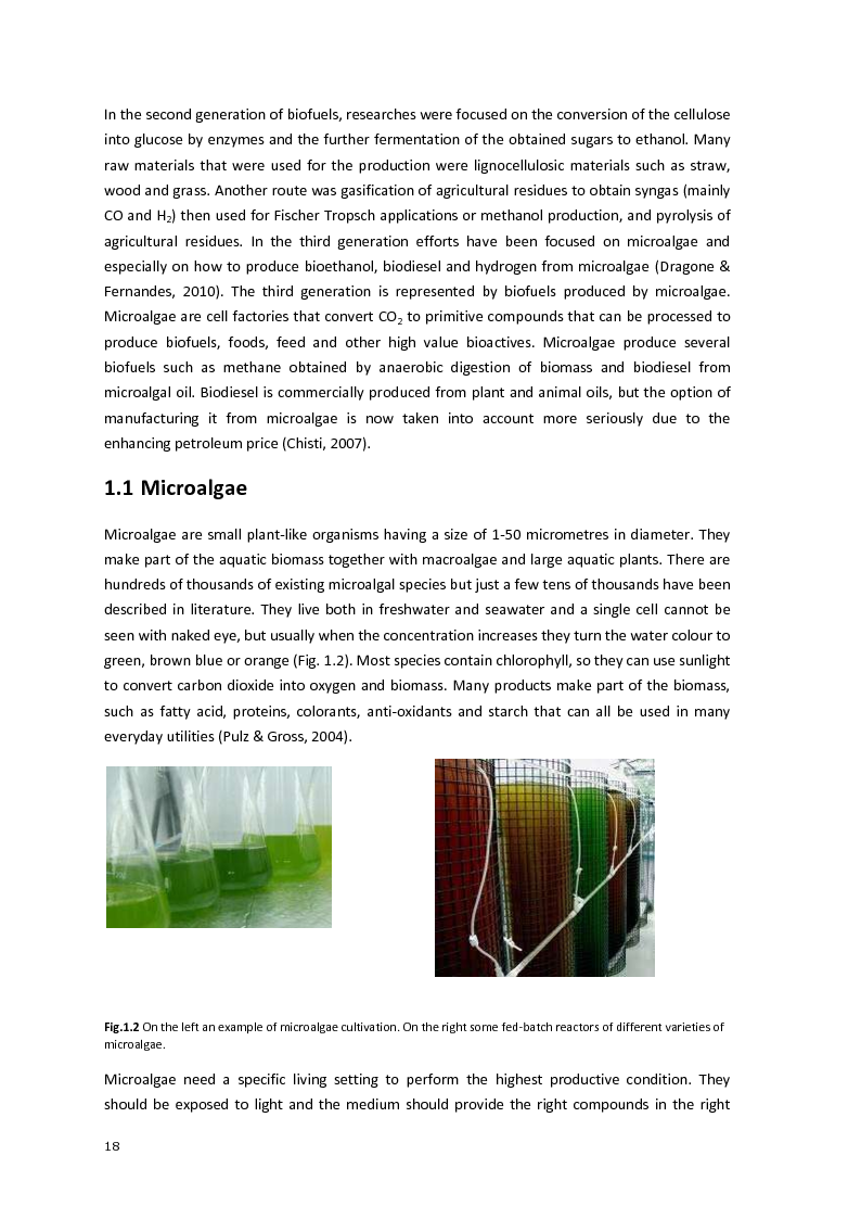 Anteprima della tesi: Protein separation and characterization from Neochloris Oleoabundans, Pagina 3