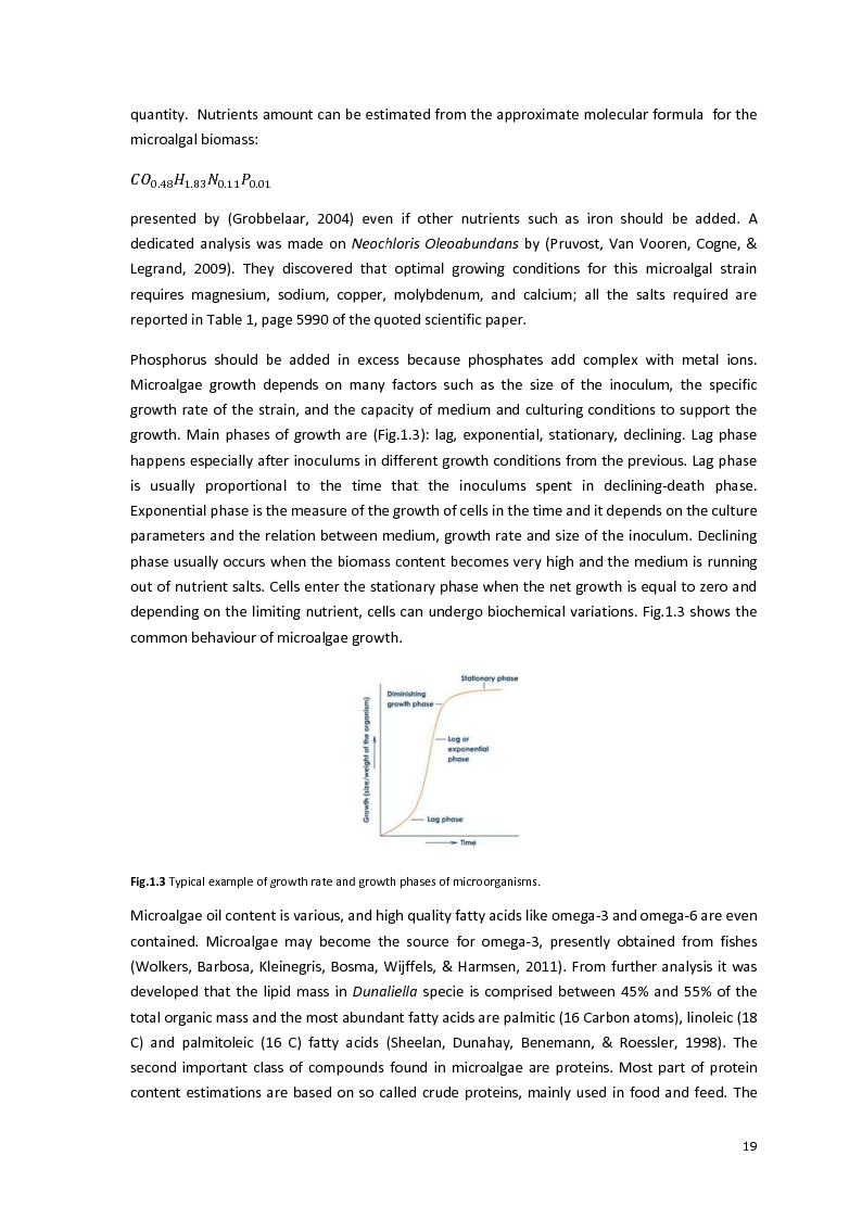 Anteprima della tesi: Protein separation and characterization from Neochloris Oleoabundans, Pagina 4