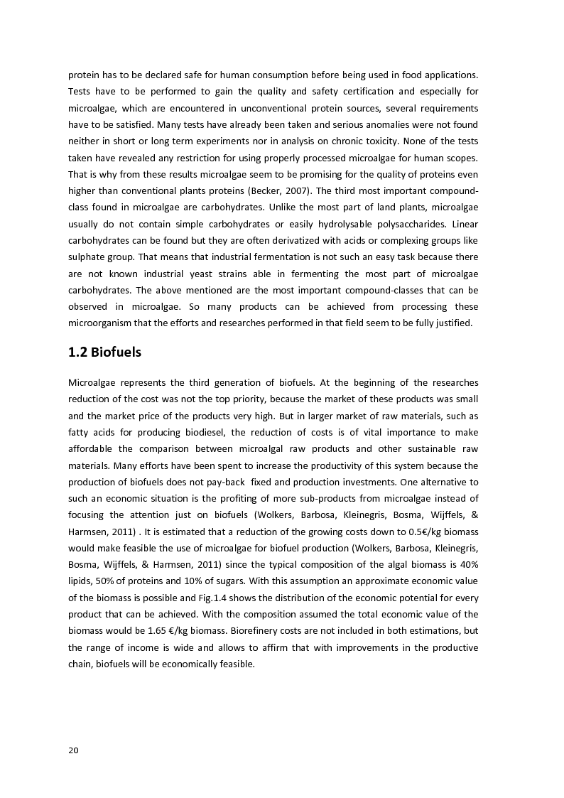 Anteprima della tesi: Protein separation and characterization from Neochloris Oleoabundans, Pagina 5
