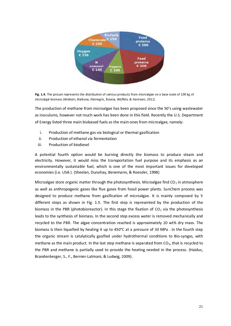 Anteprima della tesi: Protein separation and characterization from Neochloris Oleoabundans, Pagina 6